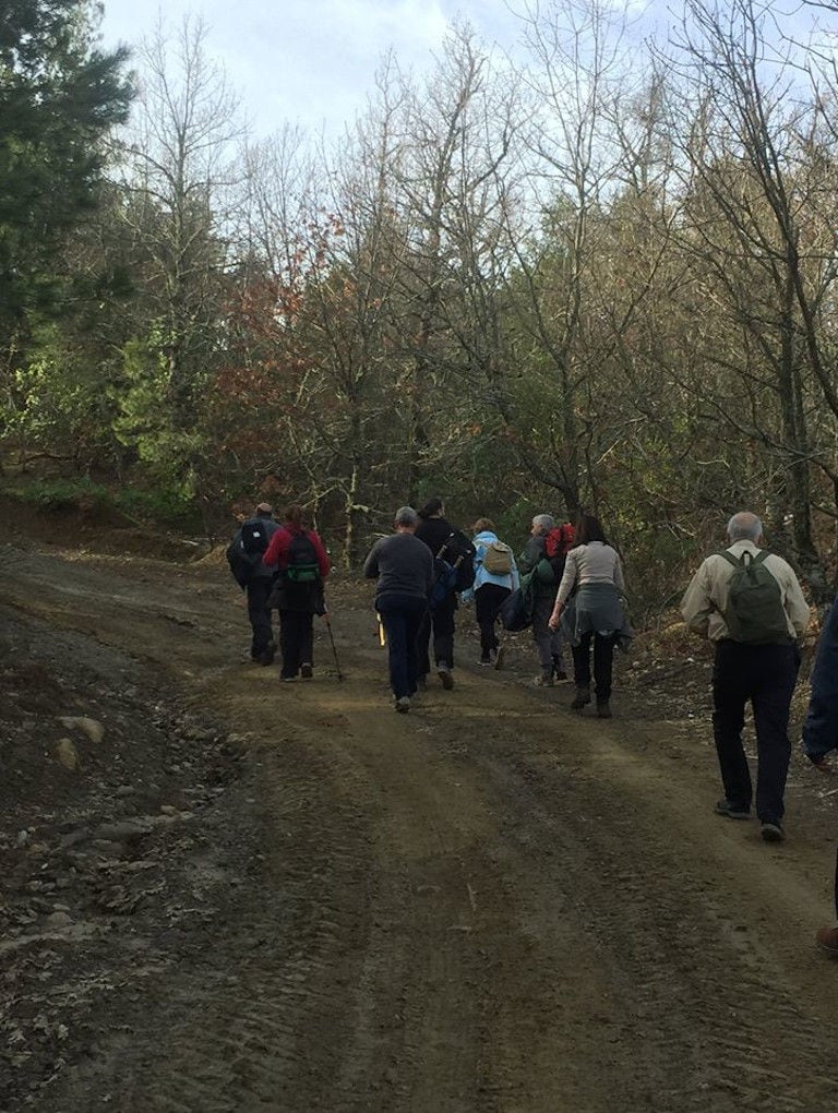 a group of tourists walking on the mountain's path surrounded by trees at 'Eleonas'